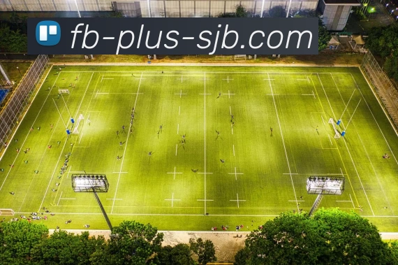 FB Plus，FB体育官网，FB体育官方网站，FB体育APP平台生态图