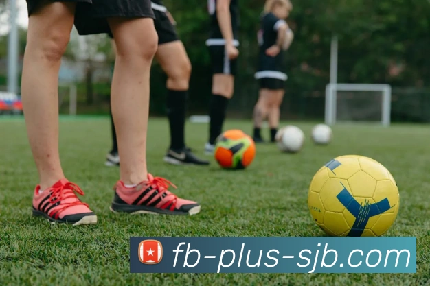 FB Plus，FB体育官网，FB体育官方网站，FB体育APPAPP 高清赛事图