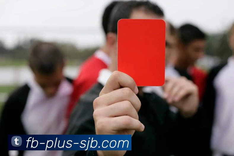 FB Plus，FB体育官网，FB体育官方网站，FB体育APP全站App